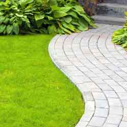 Paving specialist